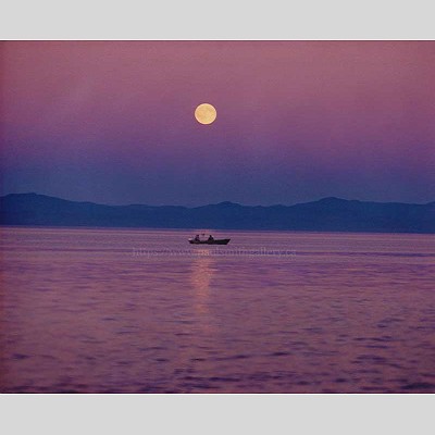 Salish Sea Moonlight Fishing Photography